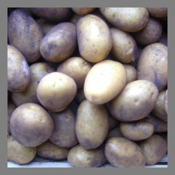 Afra