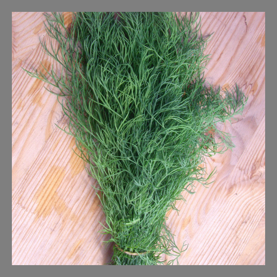 Dill