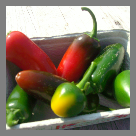 Jalapenos