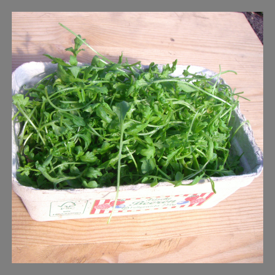 Kresse